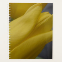 Planificador floral de tulipán amarillo: fotografí
