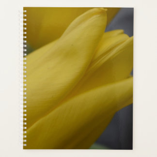 Planificador floral de tulipán amarillo: fotografí