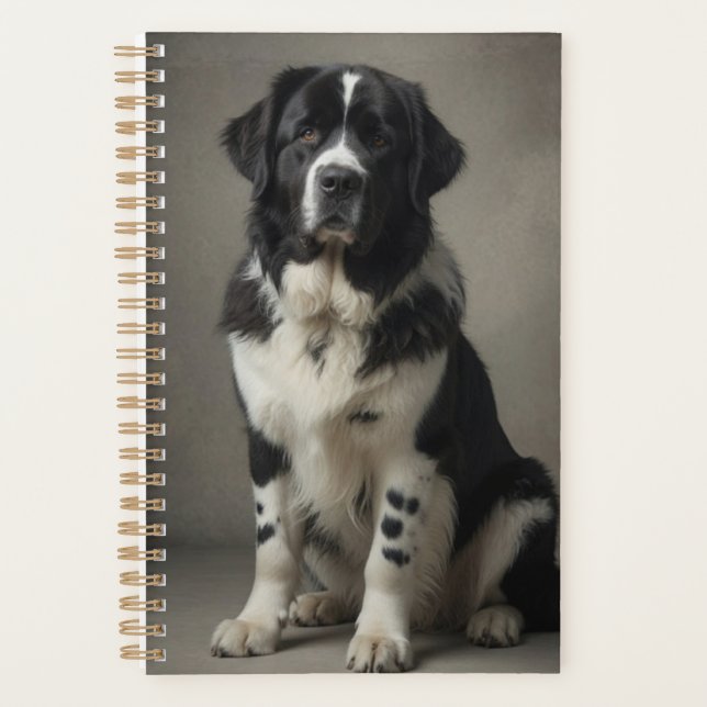 Planificador Landseer (Anverso)