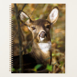 Planificador mensual/semanal de ciervos con cola b