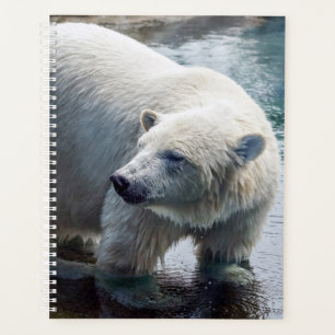 Planificador mensual/semanal de oso polar