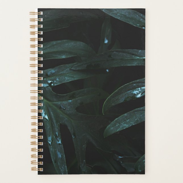 Planificador personalizado de afirmaciones positiv (Anverso)