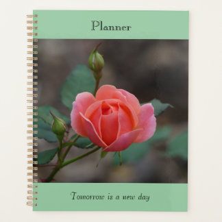 Planificador Pinky Rosebud