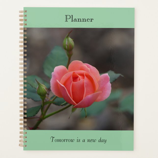 Planificador Pinky Rosebud (Anverso)