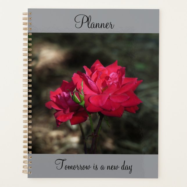Planificador Rosa Roja (Anverso)