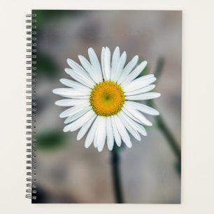 Planificador Semanal/Mensual De Daisy Único