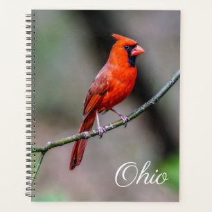 Planificador semanal/mensual del cardenal Ohio