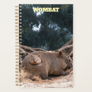 Planificador Wombat 2027
