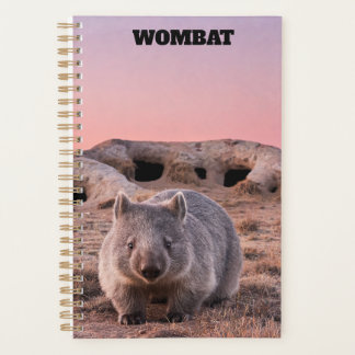 Planificador Wombat 2027