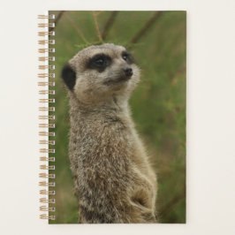 Planificador y cuaderno en espiral de suricata