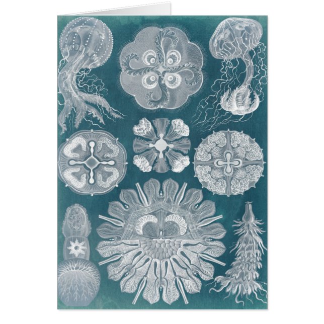 Plano Azul marino IV (Frente)