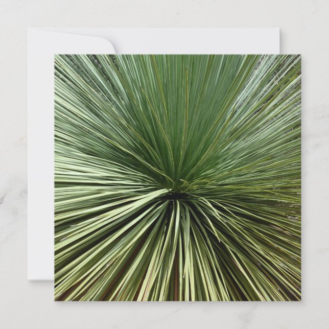 Planta Australiana - abstracta (Anverso)