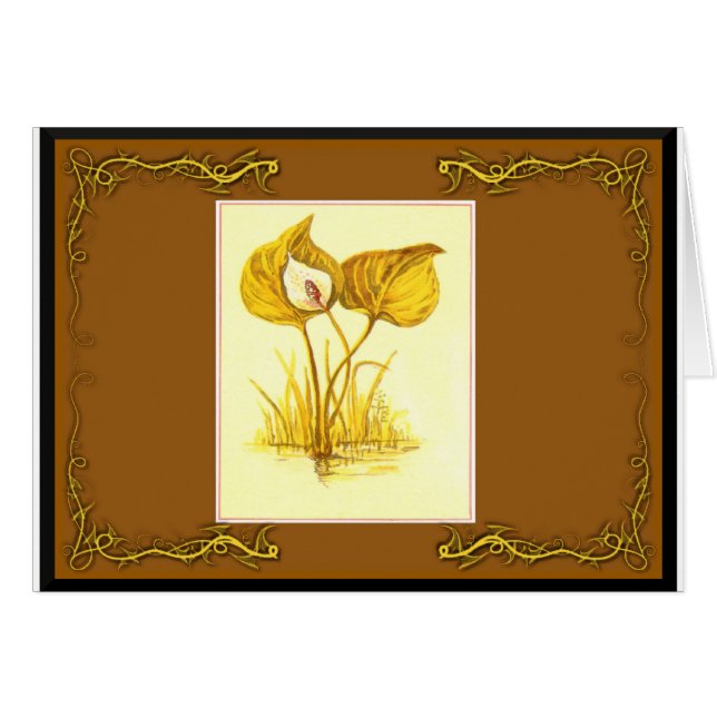 Planta de agua (Anverso (Horizontal))