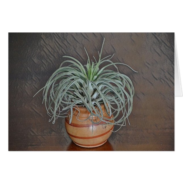 Planta de aire (Anverso (Horizontal))