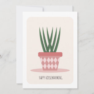 Planta de aloe en maceta para inauguración de casa