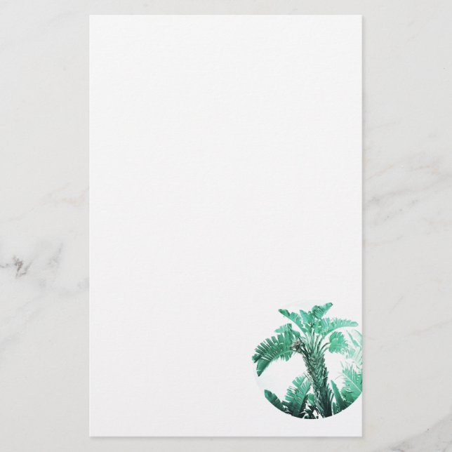 Planta de banana de hoja verde (Anverso)