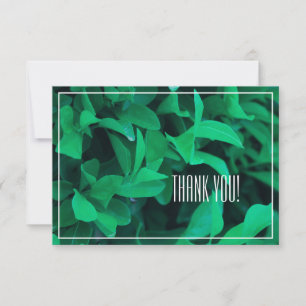 Planta de hojas verdes pálidas gracias tarjeta pla