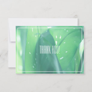 Planta de hojas verdes pálidas gracias tarjeta pla