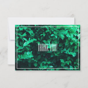 Planta de hojas verdes pálidas gracias tarjeta pla