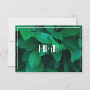 Planta de hojas verdes pálidas gracias tarjeta pla