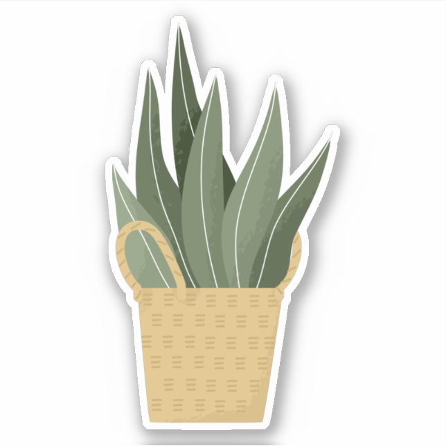 Planta de interior verde en una pegatina transpare (Anverso)