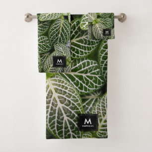 Planta de Mosaicos Fittonia con hojas variadas