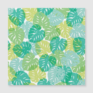 Planta de queso exótico: Monstera tropical