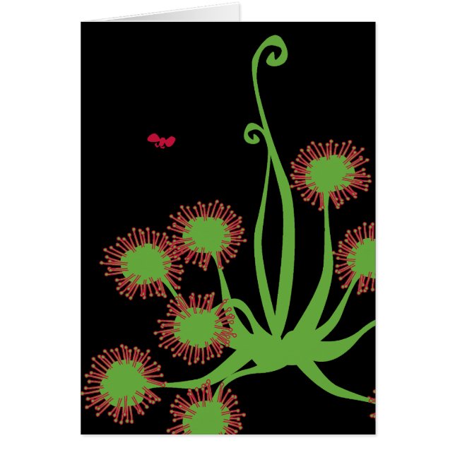 Planta de Sundew carnívora (Frente)