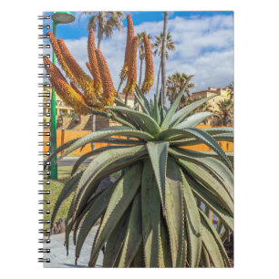 Planta de Vera del áloe y cuaderno de las flores