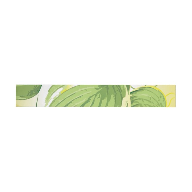 Planta Ficus 4 (Individual)