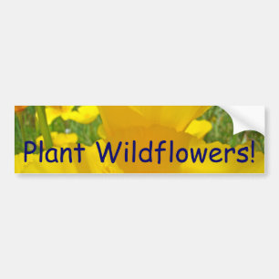 ¡Planta Flores Silvestres! calcomanías para parach