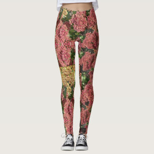 Planta herbácea Legging