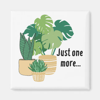 Planta imán sólo una planta más