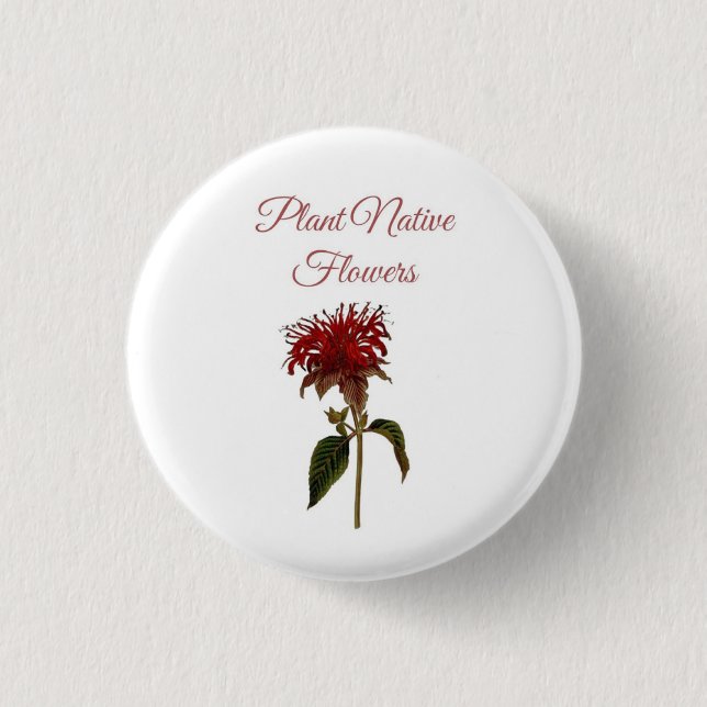 Planta Monarda Flores Nativas Botón (Anverso)