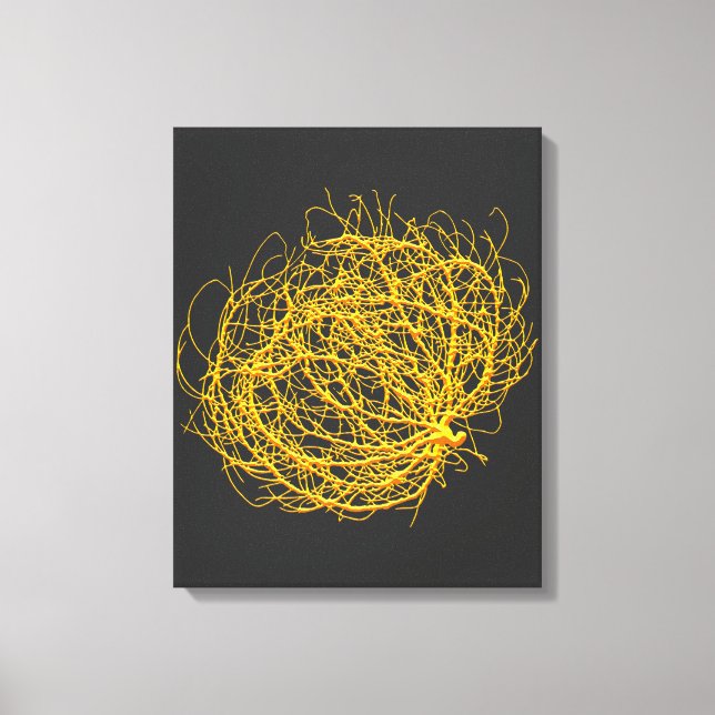 Planta Rolling Golden Tumbleweed Arte Original (Anverso)
