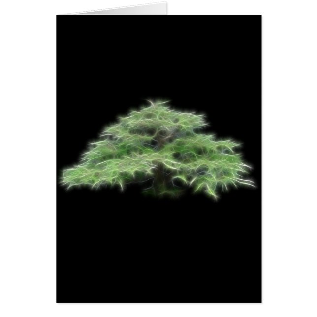 Planta verde del árbol de los bonsais (Frente)