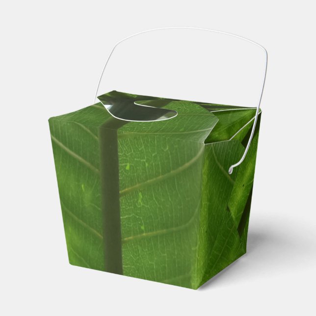 Planta verde sacar caja de favor (Front Side)