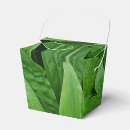 Planta verde sacar caja de favor