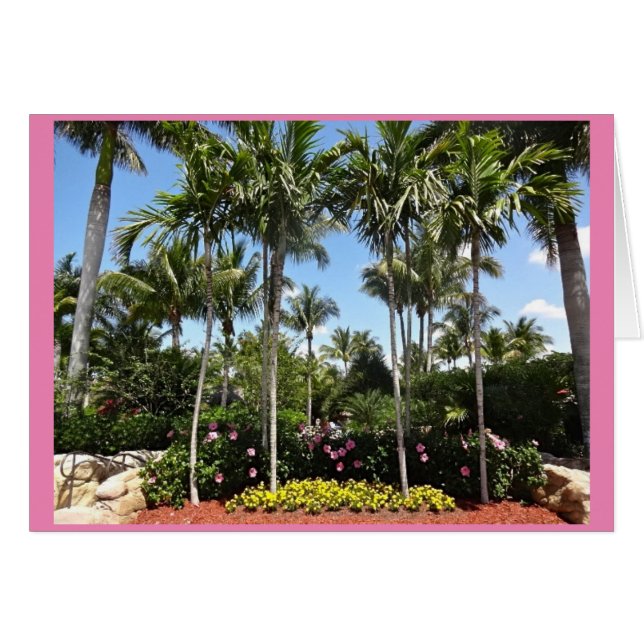 Plantación de coco tropical Bonita Springs Florida (Anverso (Horizontal))