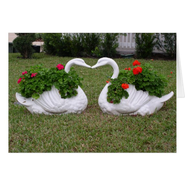Plantadores de cisnes en besos (Anverso (Horizontal))
