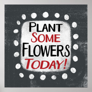 Plantar algunas flores hoy arte de pared Poster