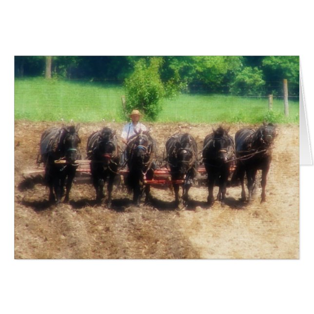 Plantar tiempo (Anverso (Horizontal))