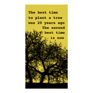 Plantar un árbol, no es demasiado tarde poster