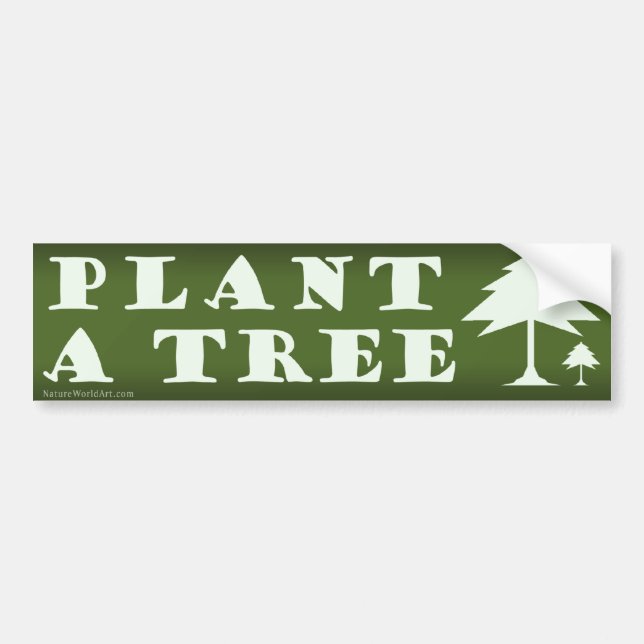 Plantar una pegatina de parachoques de árbol (Frente)