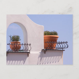 Plantas Colgando en Positano Italia Tarjeta Postal
