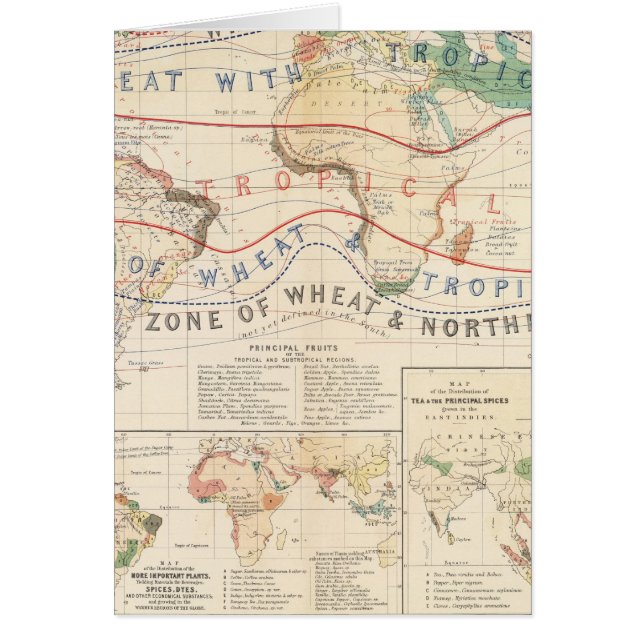 Plantas de distribución (Frente)