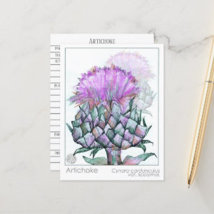 Plantas de estudio de hierbas para las tarjetas Me