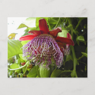 plantas de flores en la postal del árbol