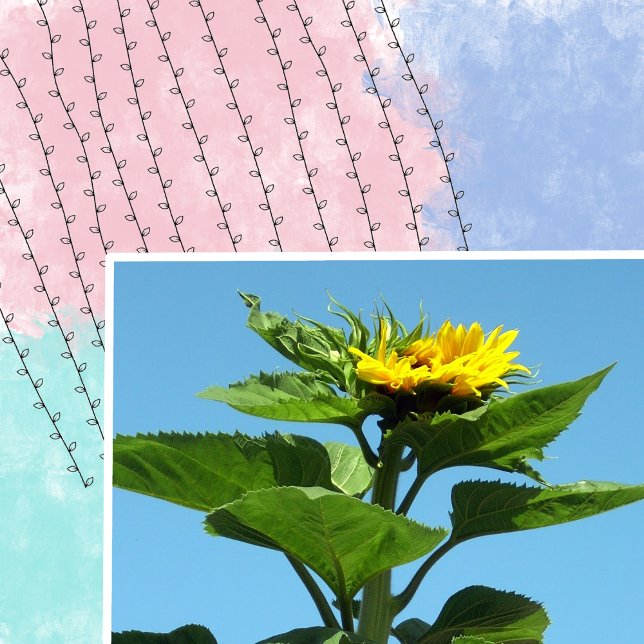 Plantas de hojas de escalada Scrapbooking Sello de (Subido por el creador)