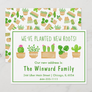 Plantas de Interior Cactus Blanco Anuncio de Nueva